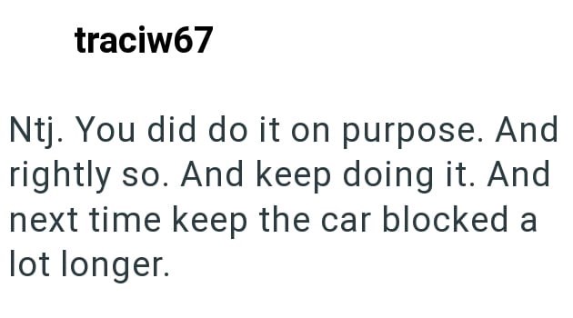 traciw67 Ntj. You did do it on purpose. And rightly so. And keep doing it. And next time keep the car blocked a lot longer.