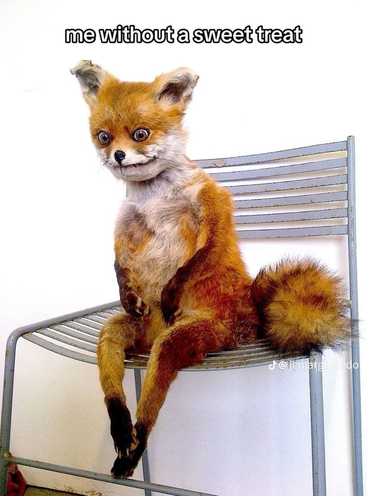 me without a sweet treat @jen argumedo