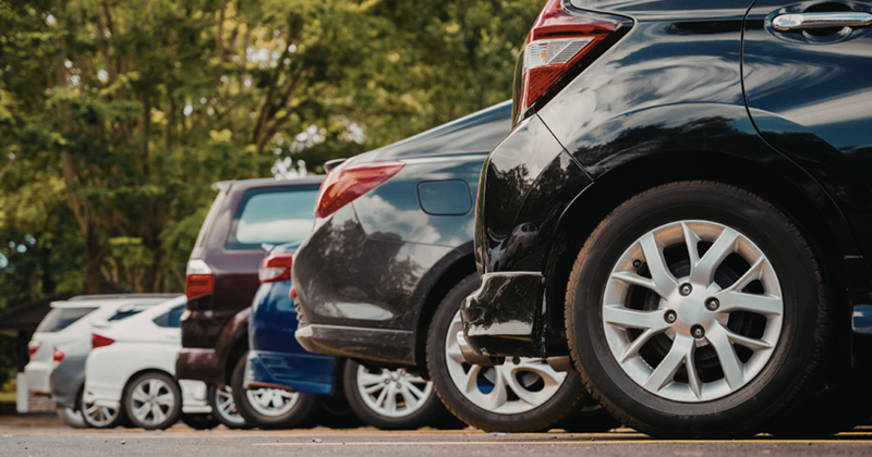 Cheezburger Image 10617320448