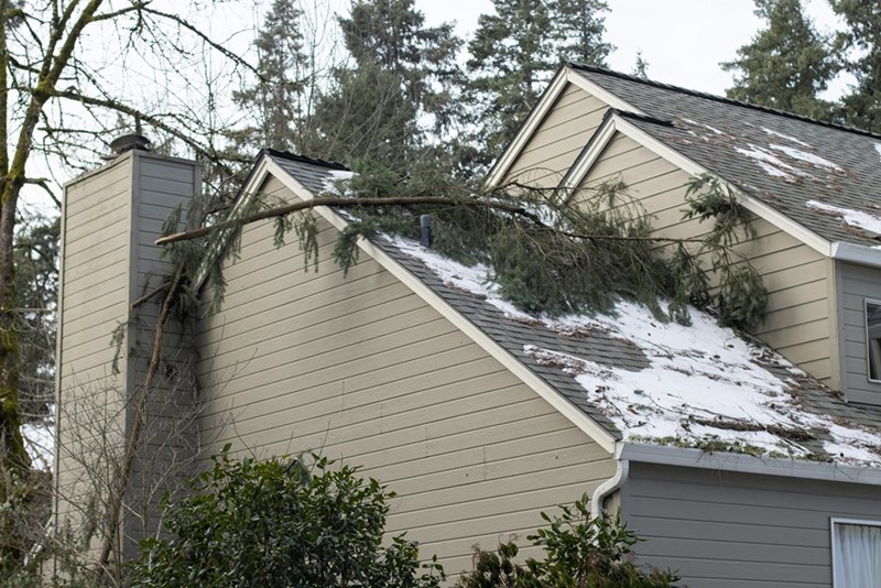Fallen tree branches on the roof of a residential building after severe winter snow storm