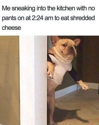 Me sneaking into the kitchen with no pants on at 2:24 am to eat shredded cheese