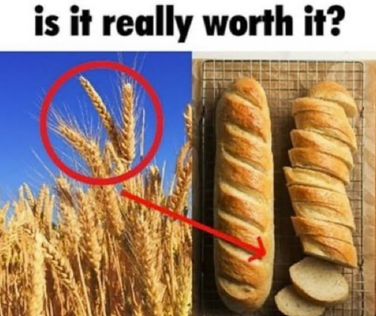 is it really worth it?