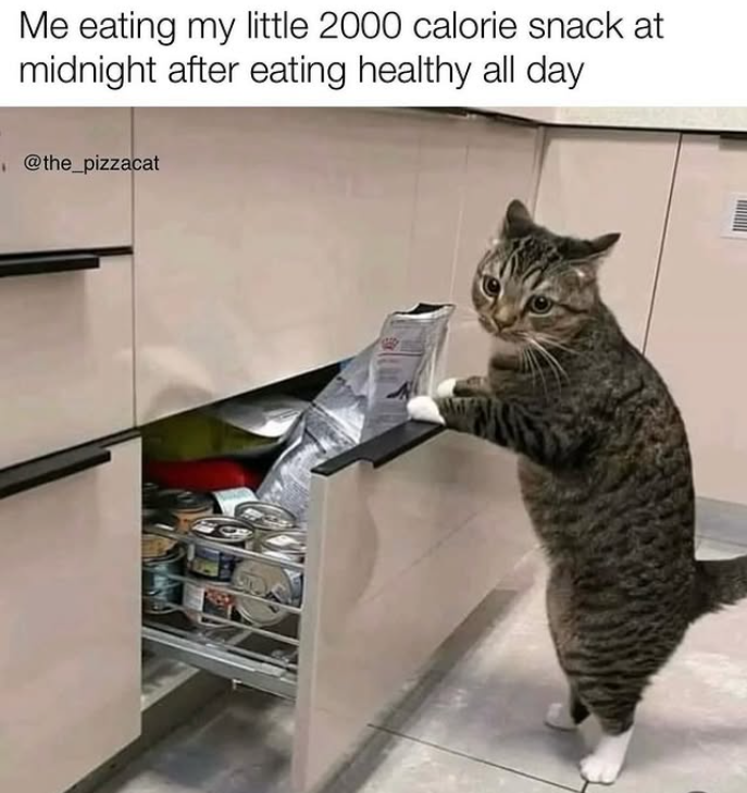 Me eating my little 2000 calorie snack at midnight after eating healthy all day @the_pizzacat