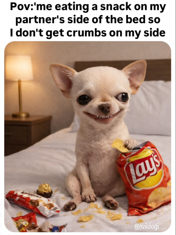 Pov:'me eating a snack on my partner's side of the bed so I don't get crumbs on my side Lay's Bevildogi