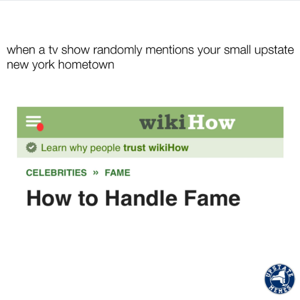 when a tv show randomly mentions your small upstate new york hometown wikiHow ☑Learn why people trust wikiHow CELEBRITIES >> FAME How to Handle Fame