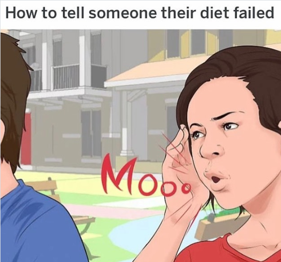 How to tell someone their diet failed Moo.