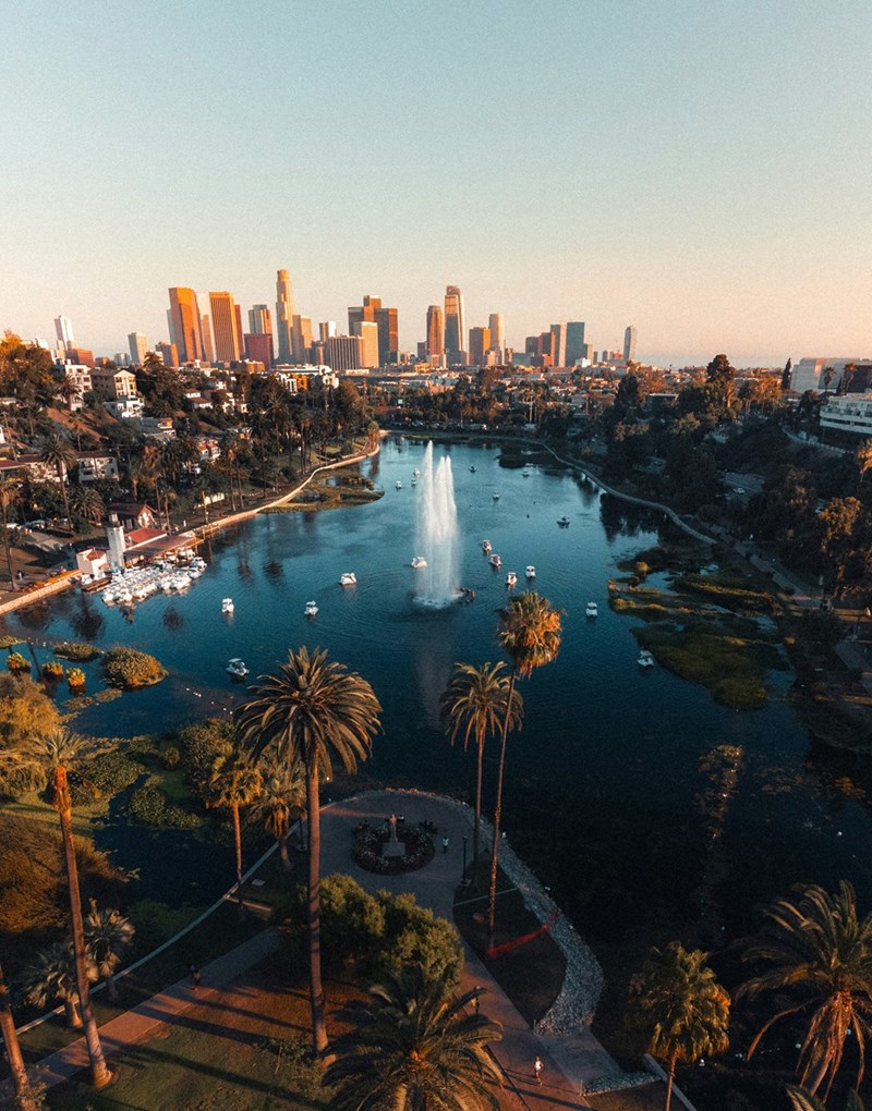 Los Angeles skyline and palm trees.