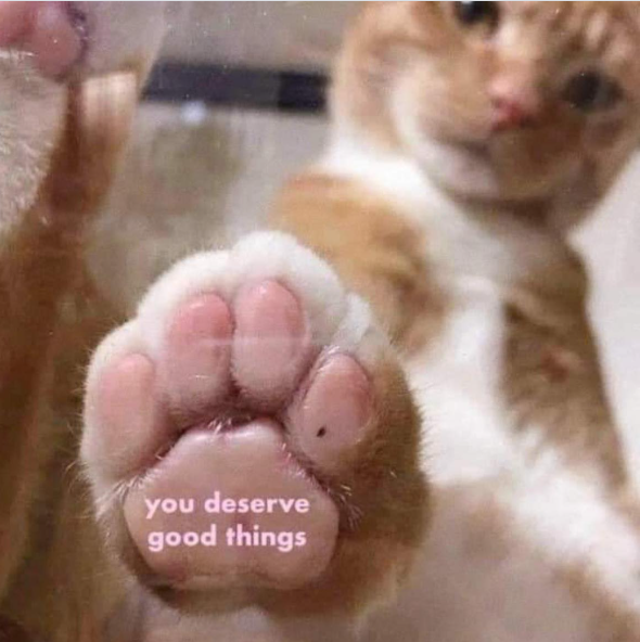 you deserve good things