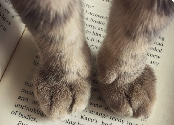 y or a skers ers ak he tra ment and w unthinking of bodies. FKO orry." narrowed a breath ng vorry, and had to him n. It wa eded knew eyes any no gea y, dis were u d, strange reedy Kaye's bod ing he SQU