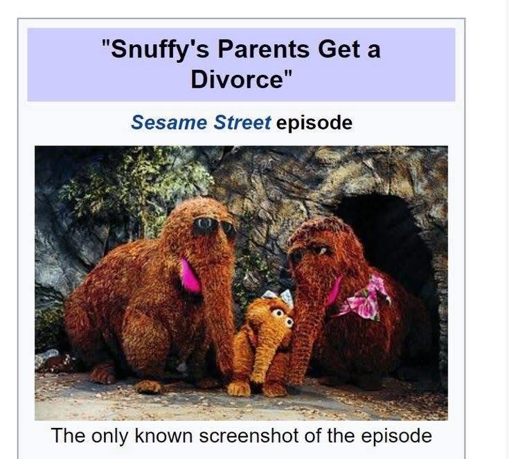 "Snuffy's Parents Get a Divorce" Sesame Street episode The only known screenshot of the episode