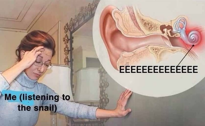 Me (listening to the snail) EEEEEEEEEEEEEE