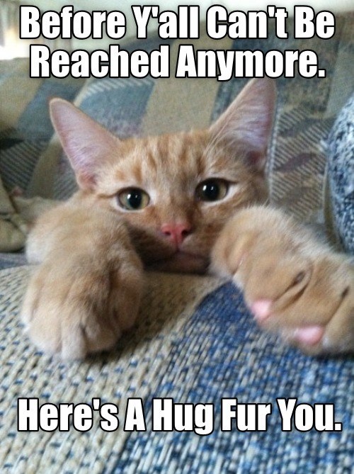 Cheezburger Image 10617381632