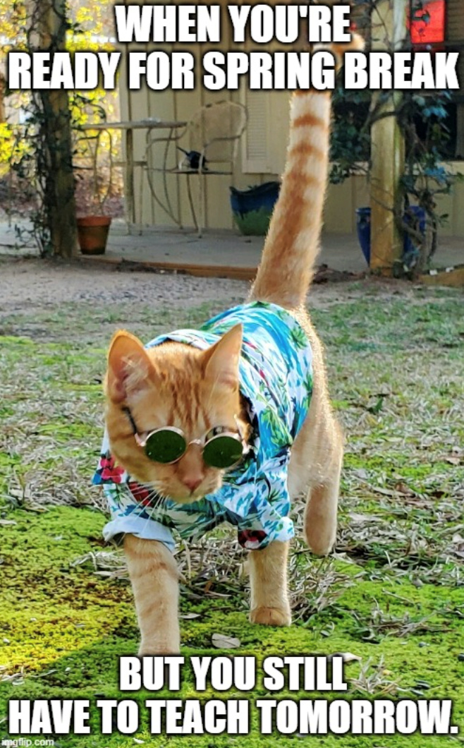 WHEN YOU'RE READY FOR SPRING BREAK BUT YOU STILL HAVE TO TEACH TOMORROW. imgflip.com