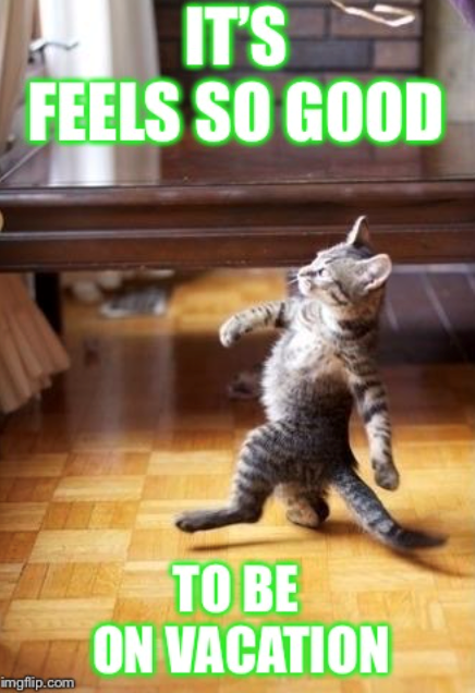 IT'S FEELS SO GOOD imgflip.com TO BE ON VACATION