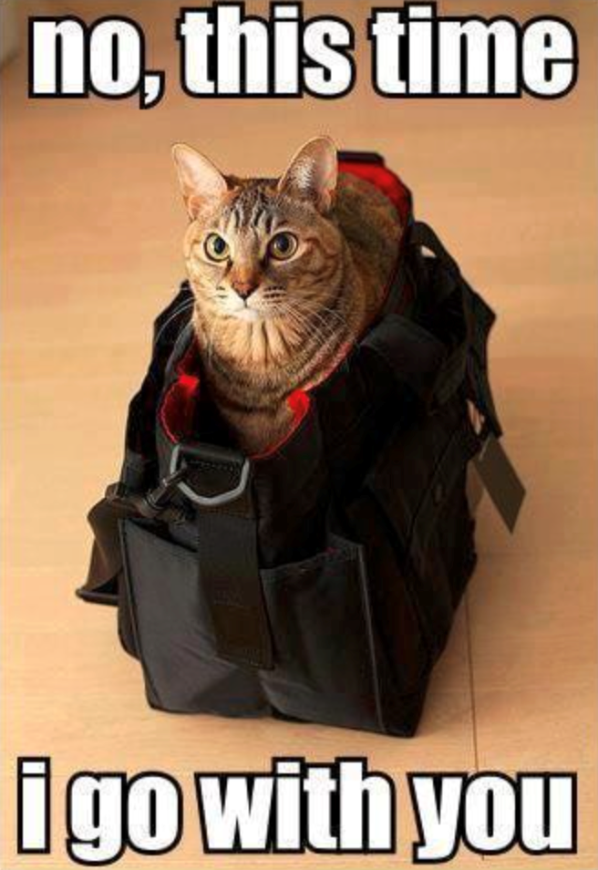 no, this time i go with you