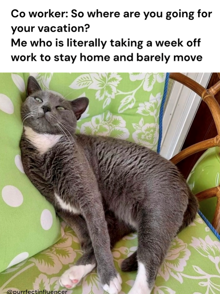 Co worker: So where are you going for your vacation? Me who is literally taking a week off work to stay home and barely move @purrfectinfluencer