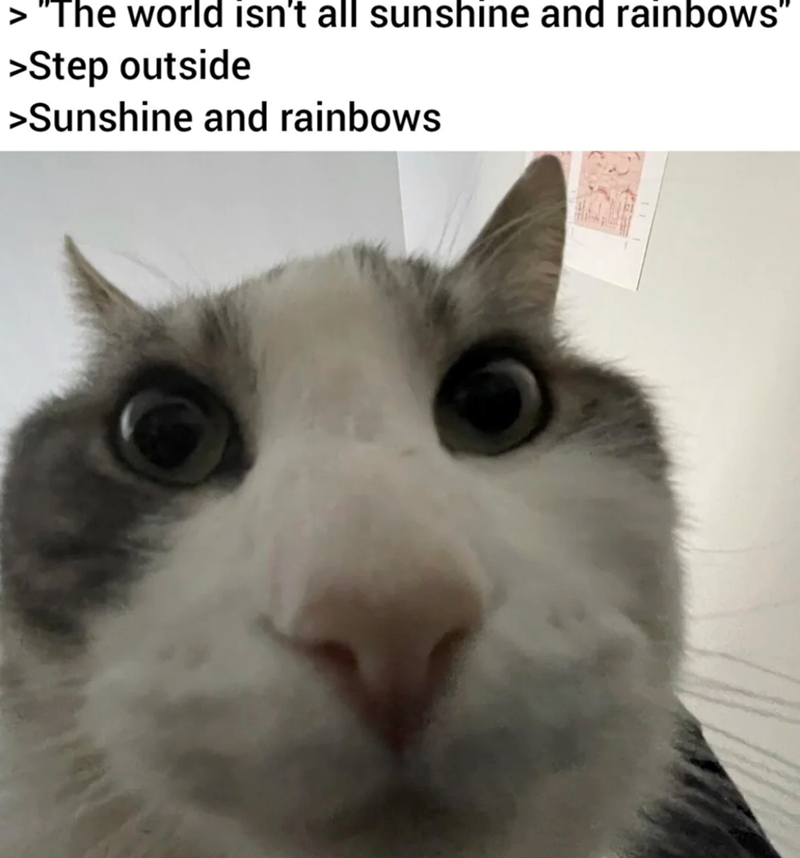 > "The world isn't all sunshine and rainbows" >Step outside >Sunshine and rainbows