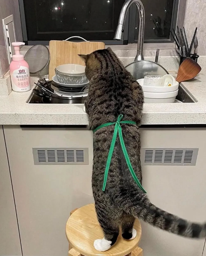 立白 (微米级泡沫 去油更护手