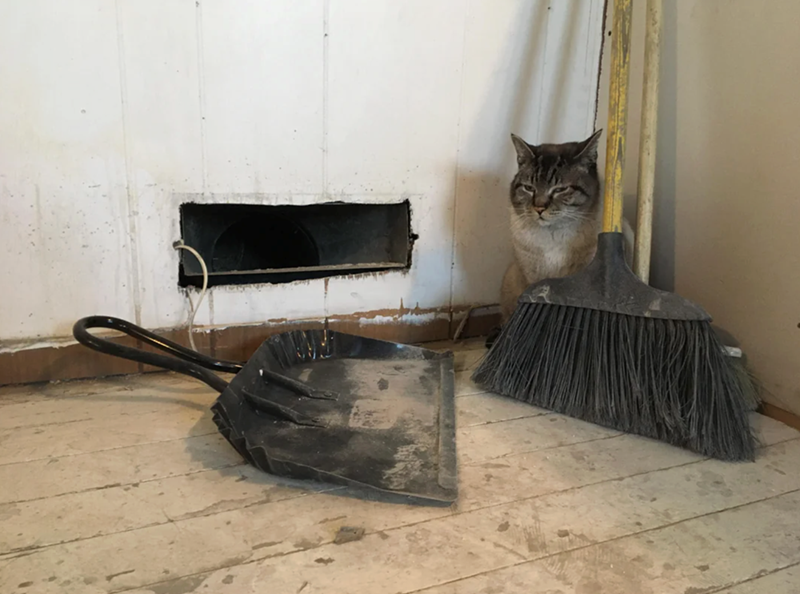 Cheezburger Image 10617401088