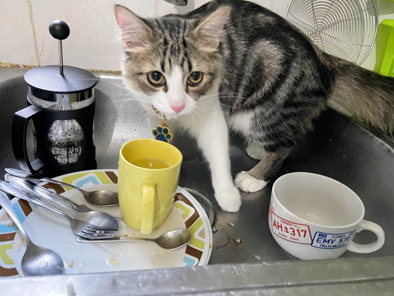 AH2317 VEMY NOMA STATE FLORDA EMY 570 PALM BEAC