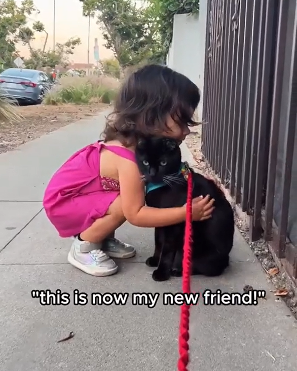 "this is now my new friend!"