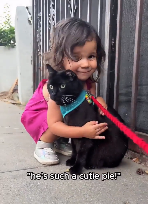 25 "he's such a cutie pie!"