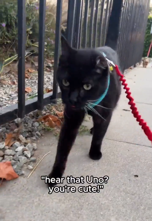 "hear that Uno? you're cute!"