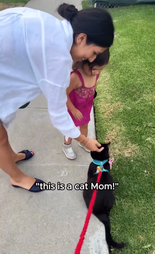 "this is a cat Mom!"