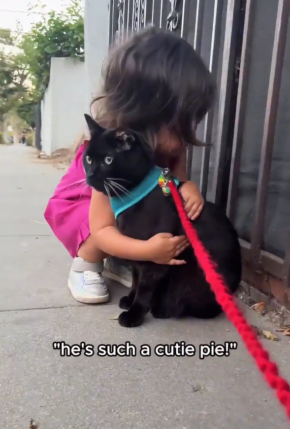 "he's such a cutie pie!"