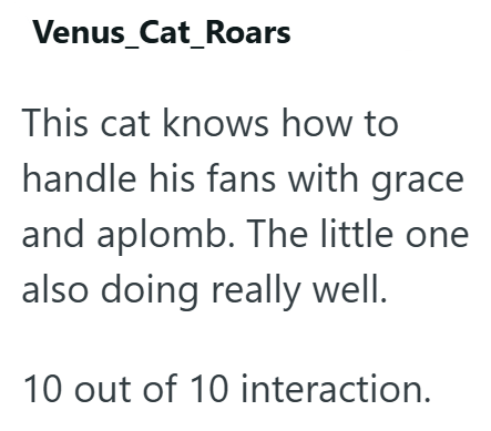 Venus_Cat_Roars This cat knows how to handle his fans with grace and aplomb. The little one also doing really well. 10 out of 10 interaction.