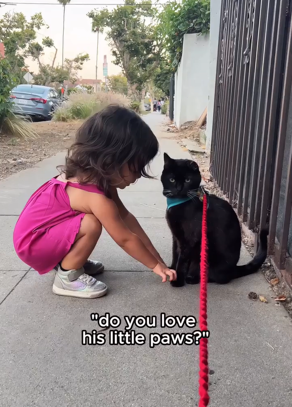 "do you love his little paws?"