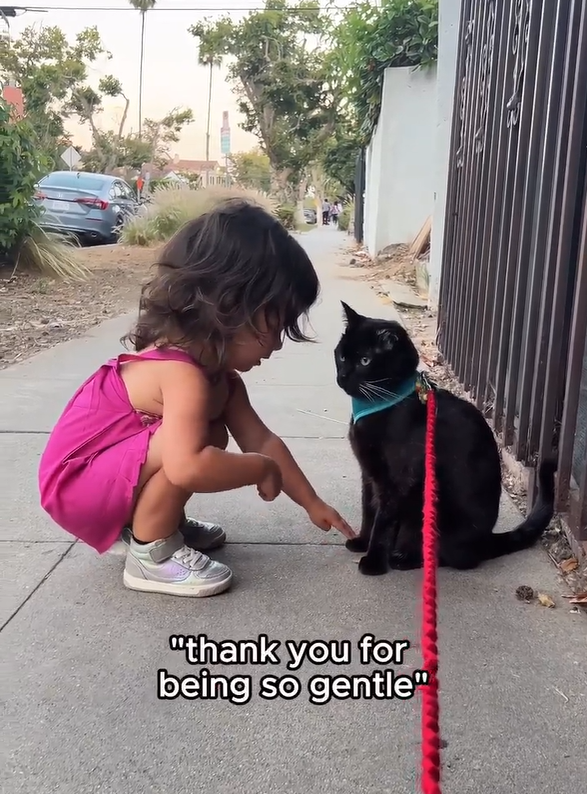 "thank you for being so gentle"