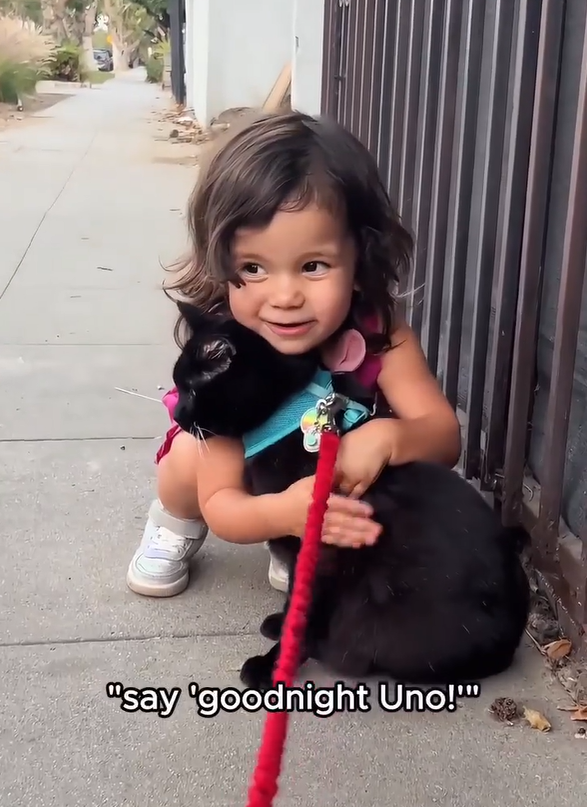 "say 'goodnight Uno!""