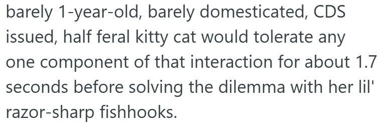 barely 1-year-old, barely domesticated, CDS issued, half feral kitty cat would tolerate any one component of that interaction for about 1.7 seconds before solving the dilemma with her lil' razor-sharp fishhooks.
