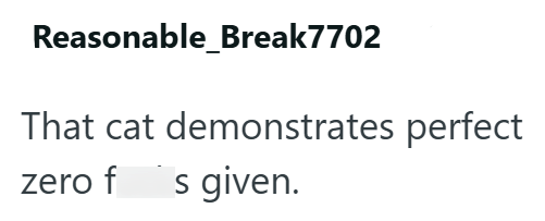 Reasonable_Break7702 That cat demonstrates perfect zero fs given.