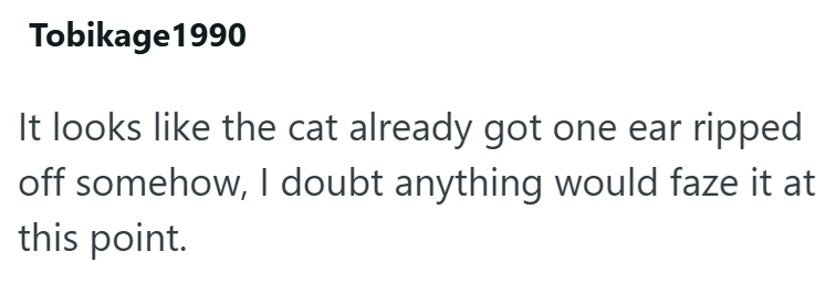 Tobikage1990 It looks like the cat already got one ear ripped off somehow, I doubt anything would faze it at this point.