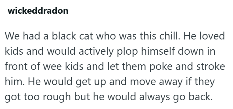 wickeddradon We had a black cat who was this chill. He loved kids and would actively plop himself down in front of wee kids and let them poke and stroke him. He would get up and move away if they got too rough but he would always go back.