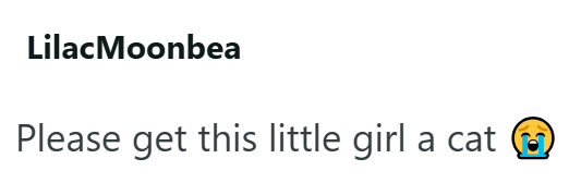 Lilac Moonbea Please get this little girl a cat (
