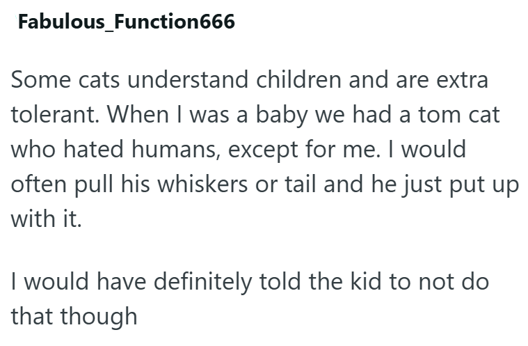 Fabulous_Function666 Some cats understand children and are extra tolerant. When I was a baby we had a tom cat who hated humans, except for me. I would often pull his whiskers or tail and he just put up with it. I would have definitely told the kid to not do that though