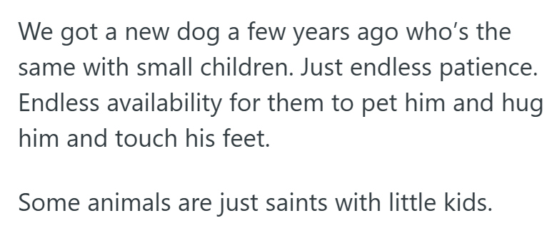 We got a new dog a few years ago who's the same with small children. Just endless patience. Endless availability for them to pet him and hug him and touch his feet. Some animals are just saints with little kids.