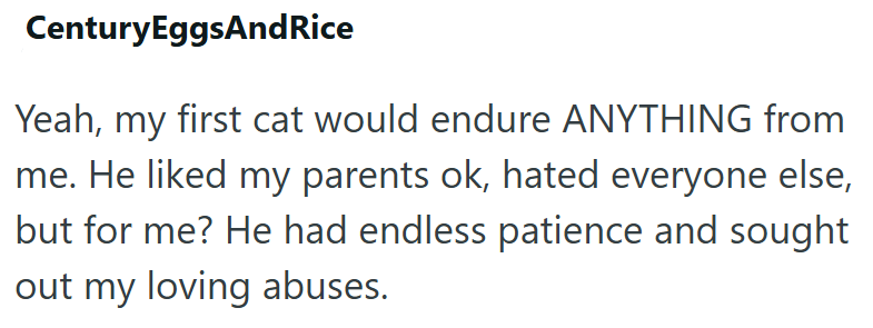 CenturyEggsAndRice Yeah, my first cat would endure ANYTHING from me. He liked my parents ok, hated everyone else, but for me? He had endless patience and sought out my loving abuses.