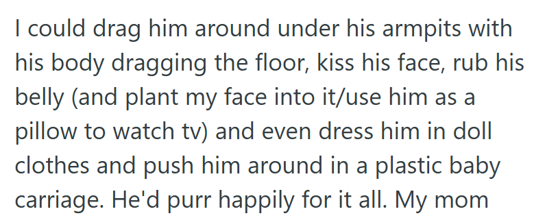 I could drag him around under his armpits with his body dragging the floor, kiss his face, rub his belly (and plant my face into it/use him as a pillow to watch tv) and even dress him in doll clothes and push him around in a plastic baby carriage. He'd purr happily for it all. My mom