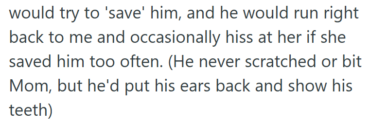 would try to 'save' him, and he would run right back to me and occasionally hiss at her if she saved him too often. (He never scratched or bit Mom, but he'd put his ears back and show his teeth)