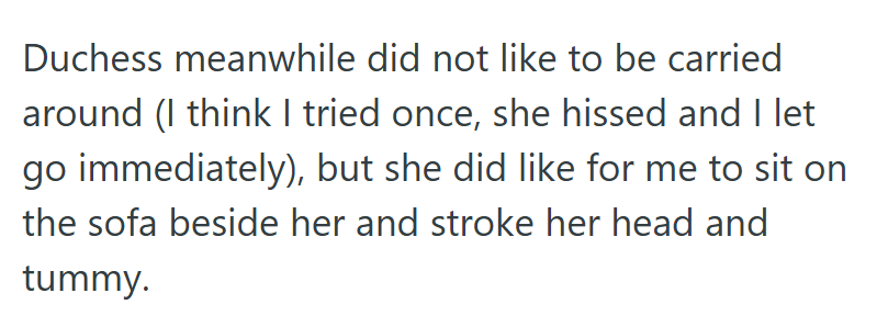 Duchess meanwhile did not like to be carried around (I think I tried once, she hissed and I let go immediately), but she did like for me to sit on the sofa beside her and stroke her head and tummy.