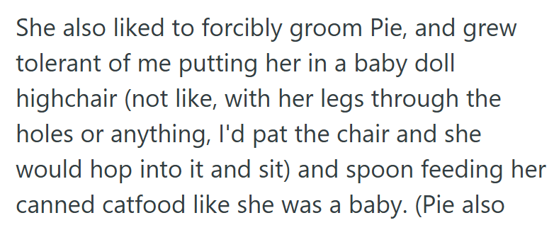 She also liked to forcibly groom Pie, and grew tolerant of me putting her in a baby doll highchair (not like, with her legs through the holes or anything, I'd pat the chair and she would hop into it and sit) and spoon feeding her canned catfood like she was a baby. (Pie also