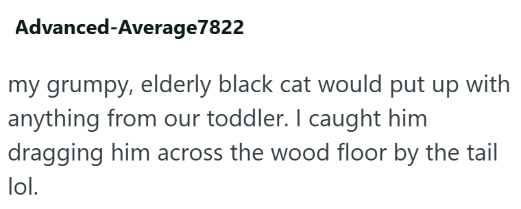 Advanced-Average7822 my grumpy, elderly black cat would put up with anything from our toddler. I caught him dragging him across the wood floor by the tail lol.