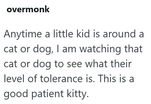 overmonk Anytime a little kid is around a cat or dog, I am watching that cat or dog to see what their level of tolerance is. This is a good patient kitty.