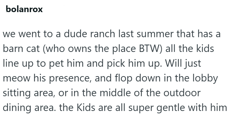 bolanrox we went to a dude ranch last summer that has a barn cat (who owns the place BTW) all the kids line up to pet him and pick him up. Will just meow his presence, and flop down in the lobby sitting area, or in the middle of the outdoor dining area. the Kids are all super gentle with him