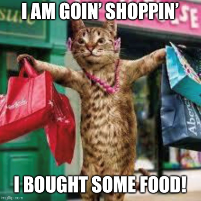 SuI AM GOIN' SHOPPIN'SE I BOUGHT SOME FOOD! imgflip.com Aberc