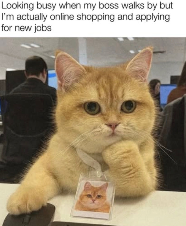 Looking busy when my boss walks by but I'm actually online shopping and applying for new jobs